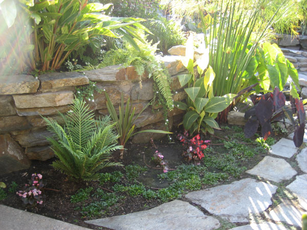 flagstone walk and planter with lush plants
