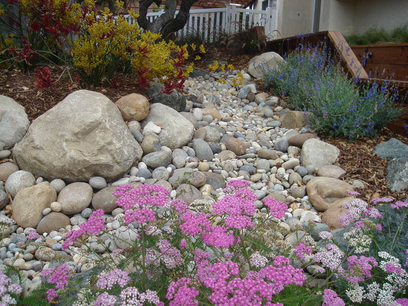 rock garden with pink flowers in front
