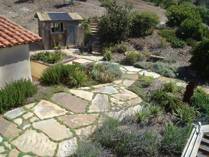 paver stones with surrounding trees and shurbs