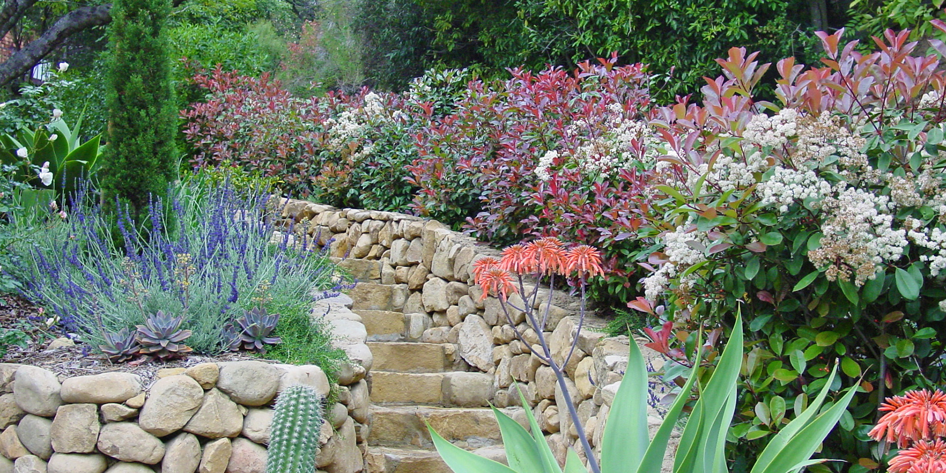 Stone steps with rock walls with lush planting.