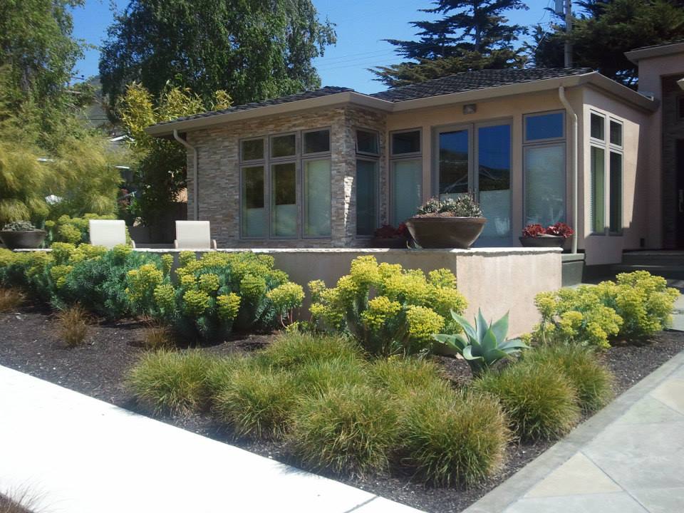 front of home with drought tolerant plantings and stucco wall